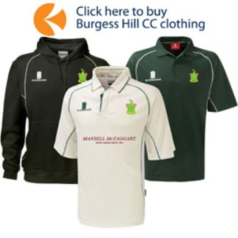 Play Cricket Image2